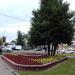 Клумба в городе Москва
