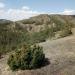 Bashkirsky strict nature reserve