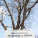 Памятник природы «Посадки на Дуговой» в городе Воронеж