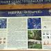 Информационный стенд в городе Севастополь