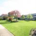 Elm Close in Nottingham city
