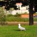 Park (pl) in Exeter city