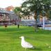Park (pl) in Exeter city