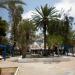 Jardin dans la ville de Houmt souk