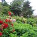 Northernhay Park (pl) in Exeter city