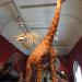 Royal Albert Museum and Art Gallery in Exeter city