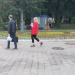 Клумба в городе Москва
