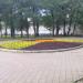 Клумба в городе Москва