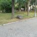 Камень в городе Москва