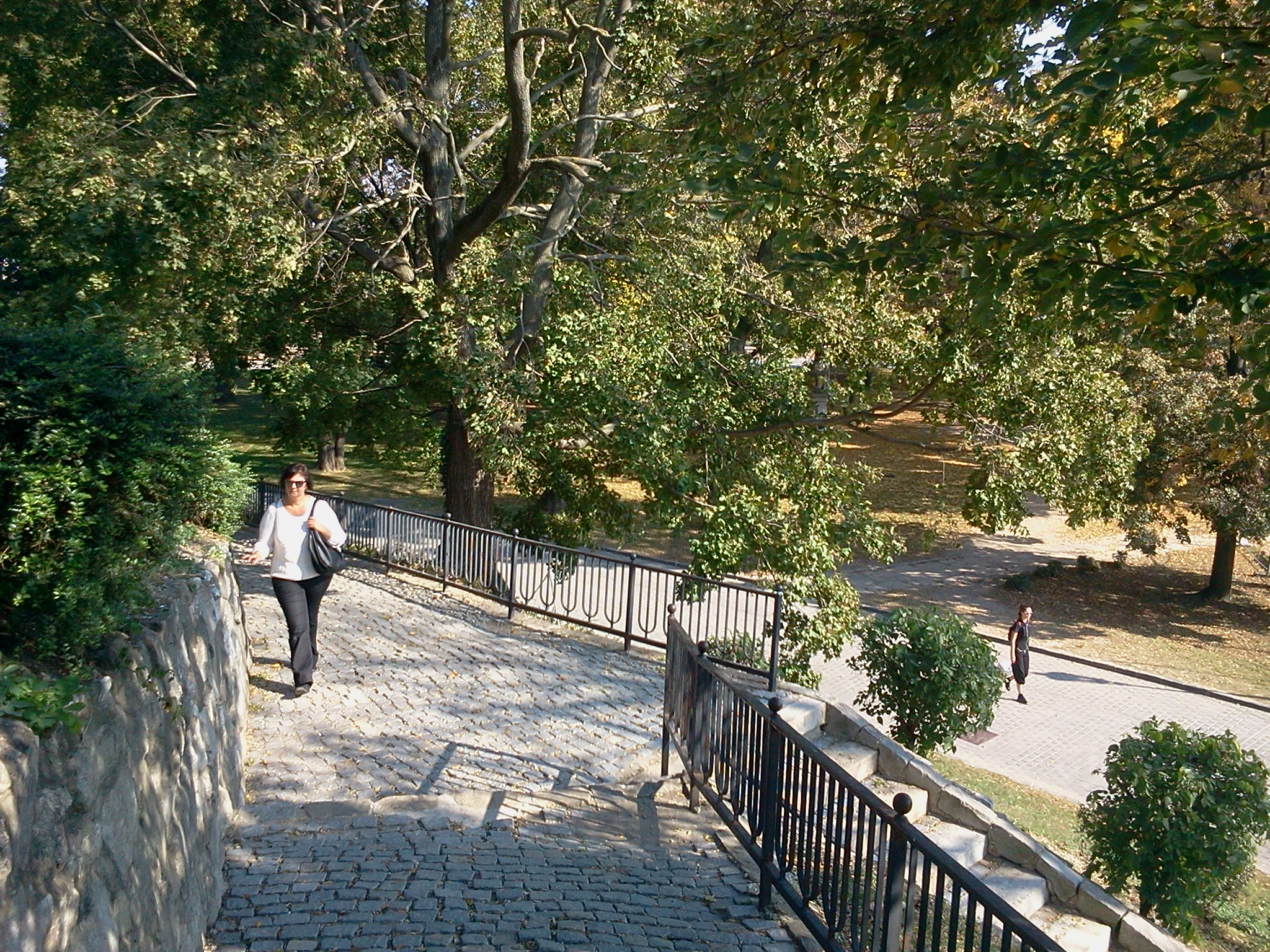 English park - Bratislava