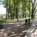 Pimeaed in Narva city