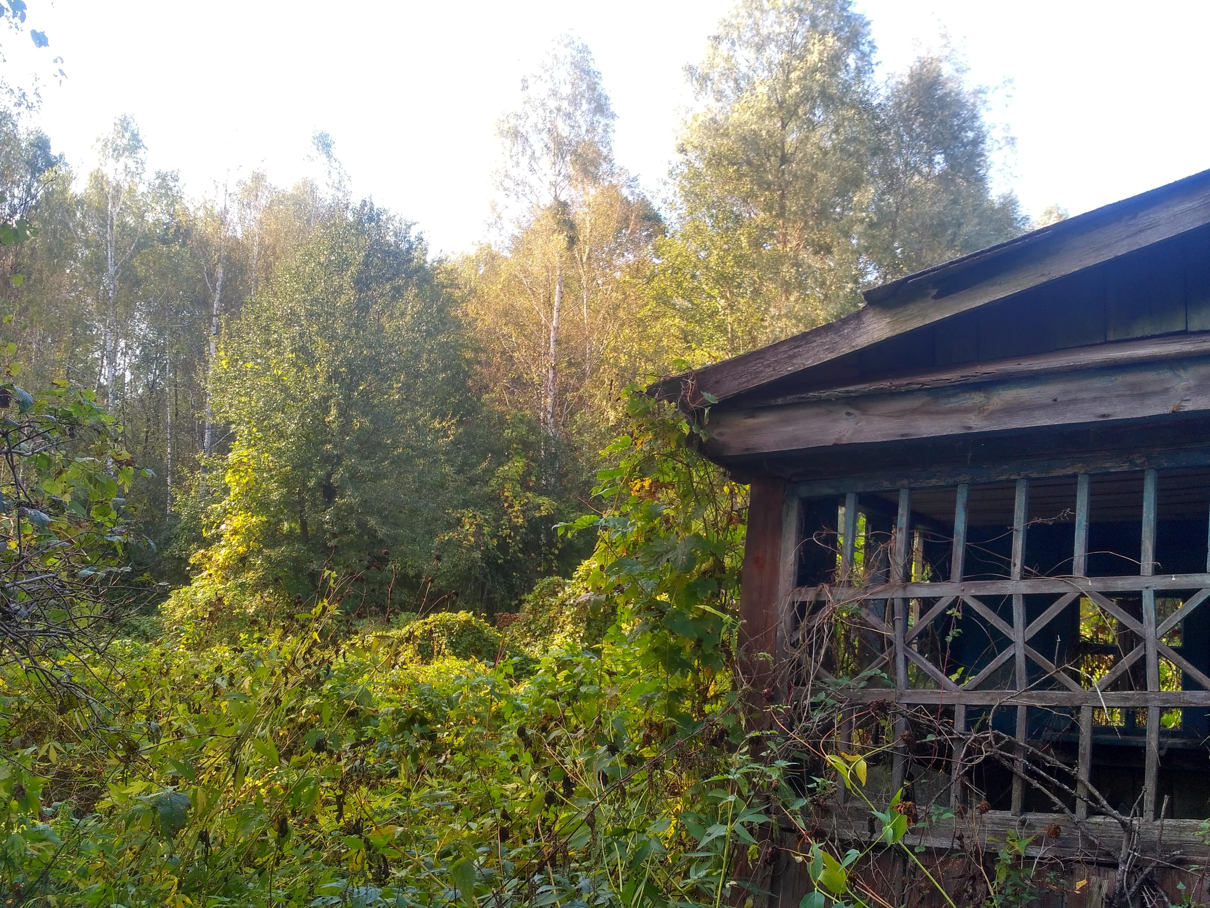 Krasne former krasne-former