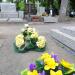 The grave of Gustaw Pilecki in Warsaw city