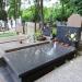The grave of Jan Łomnicki in Warsaw city