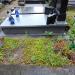 The grave of Witold Hensel in Warsaw city