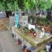 The grace of Stanislawa Cajler in Warsaw city