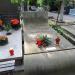 The grave of Karol Szymanowski family in Warsaw city
