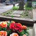 The grave of Witold Makowiecki in Warsaw city