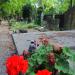 The grave of Stefan Bernadzikiewicz in Warsaw city