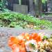 The grave of Stefan Bernadzikiewicz in Warsaw city