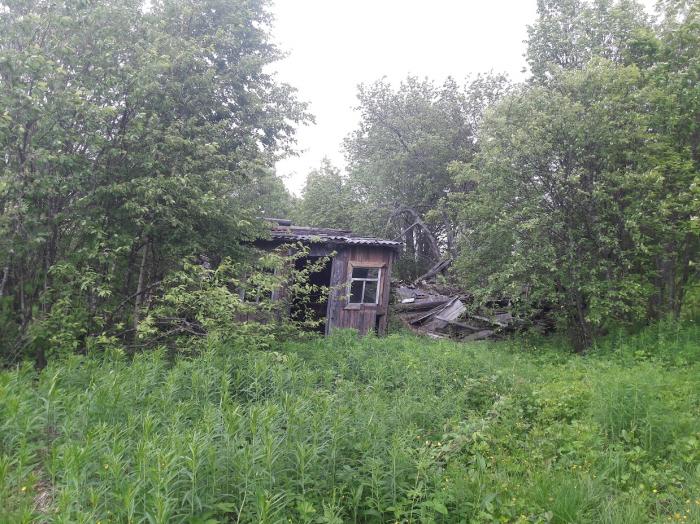 Старая деревня