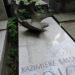 The grave of Kazimierz Bassalik in Warsaw city
