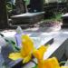 The grave of Jerzy Kumaniecki in Warsaw city