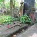 The grave of Kazimiera Niewiarowska in Warsaw city