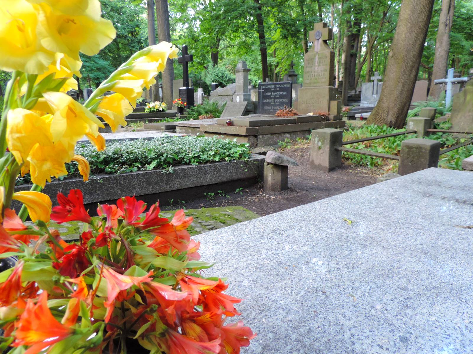 The grave of jan Ciecierski Warsaw