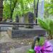 The grave of Józef Węgrzyn in Warsaw city