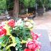 Quarter 339 in Warsaw city