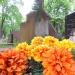 The grave of Jan Marczewski in Warsaw city