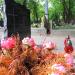 The grave of Irena Malkiewicz in Warsaw city