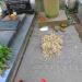 The grave of Lech Pijanowski in Warsaw city