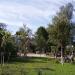 Станция подзарядки «Солнечное дерево» в городе Житомир
