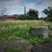 Schron przeciwodłamkowy typu Einmannbunker in Sławków city