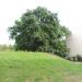 Local old amphitheatre in Warsaw city