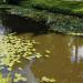 The Silver Haze Pond in Bila Tserkva city