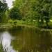 The Silver Haze Pond in Bila Tserkva city