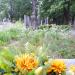 The grave of Jawoszek family