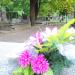 Quarter 345 pod murem in Warsaw city