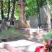 The grave of Marcjanna Przeorska in Warsaw city