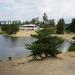 Пляж в городе Луховицы