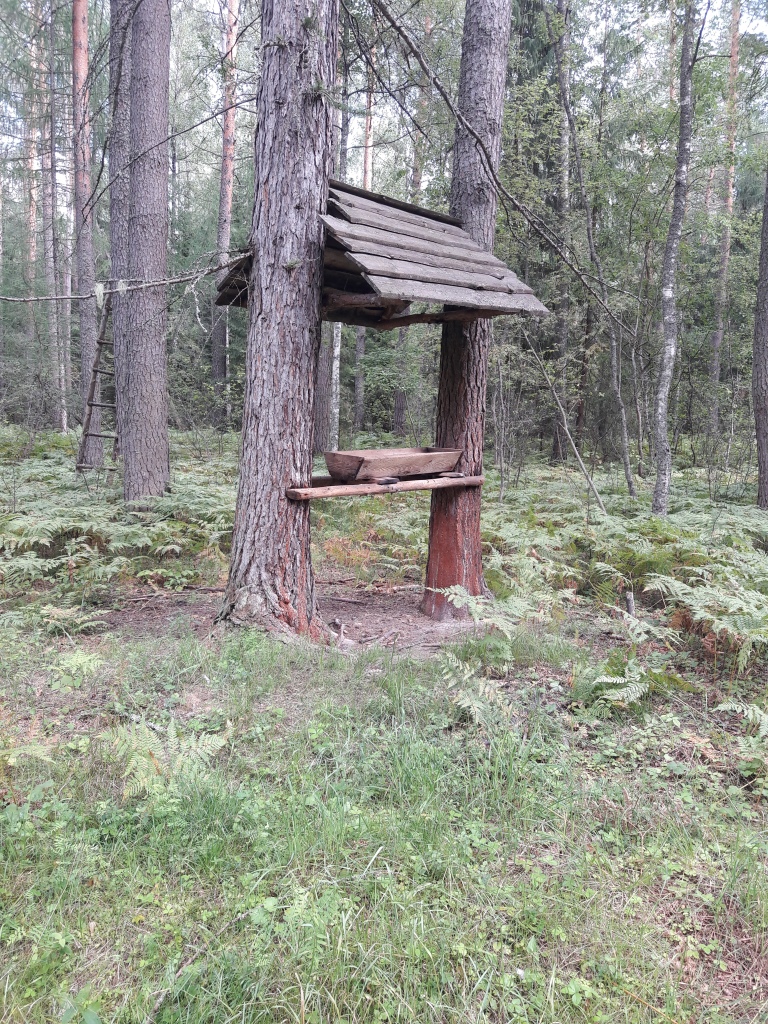 Кормушка для диких животных