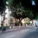שדרות הנביאים, 28 in תל אביב - יפו city