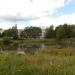 Пруд в городе Голицыно