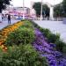 Цветник в городе Житомир