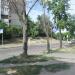 Пешеходный переход в городе Киев