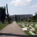 Поховання часів II Світової війни в місті Житомир