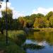Staw (pl) in Piotrkow Trybunalski city